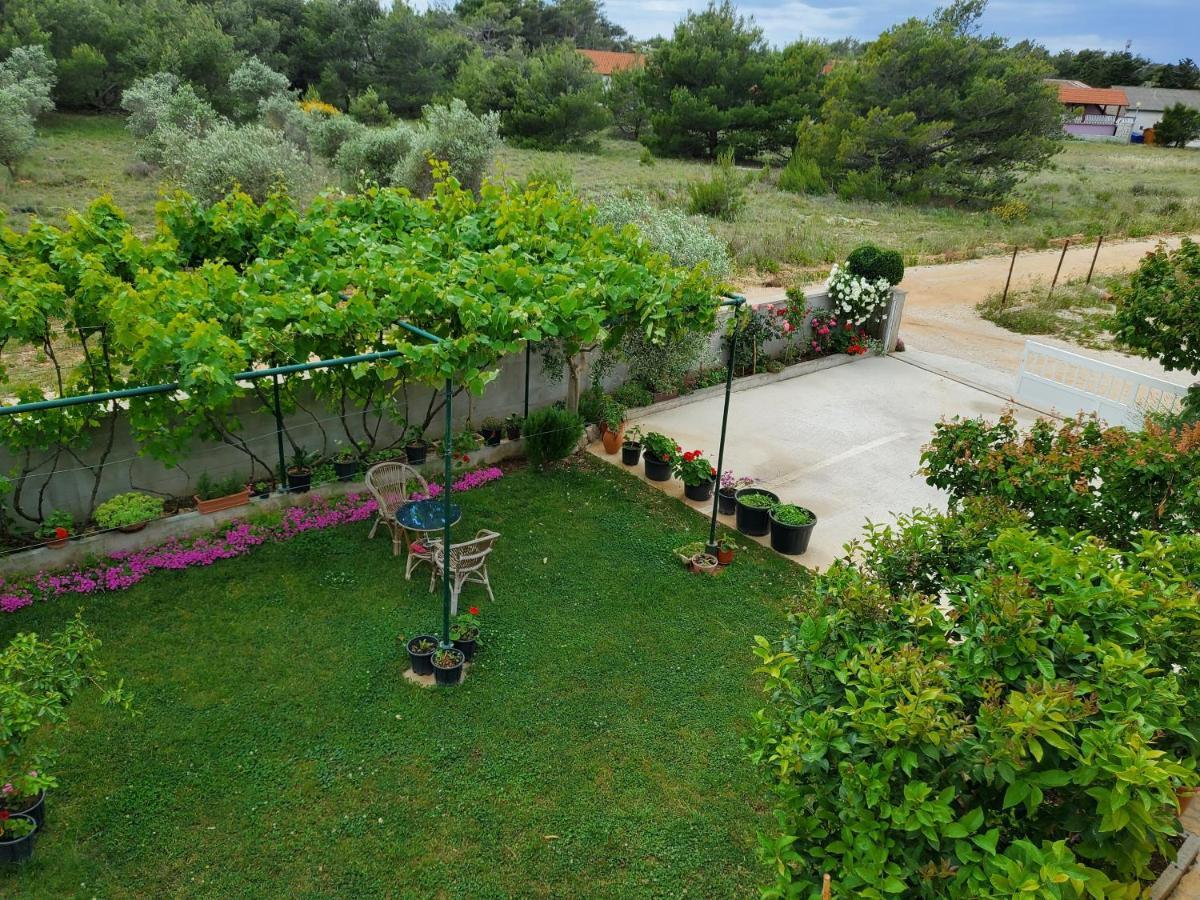 Apartmani Zarko Vir Buitenkant foto