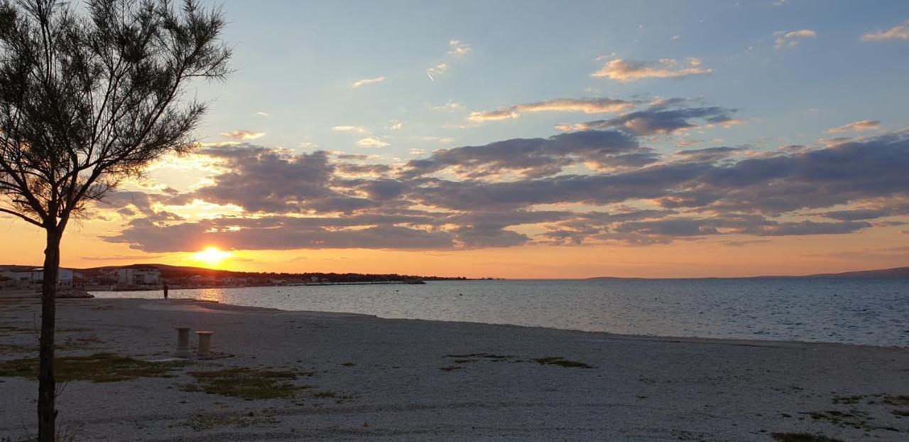 Apartmani Zarko Vir Buitenkant foto